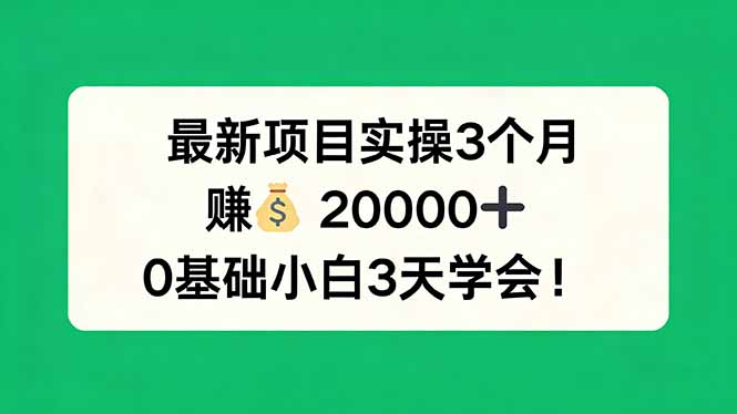 最新项目实操3个月，赚钱20000+，0基础小白3天学会！-悦享网